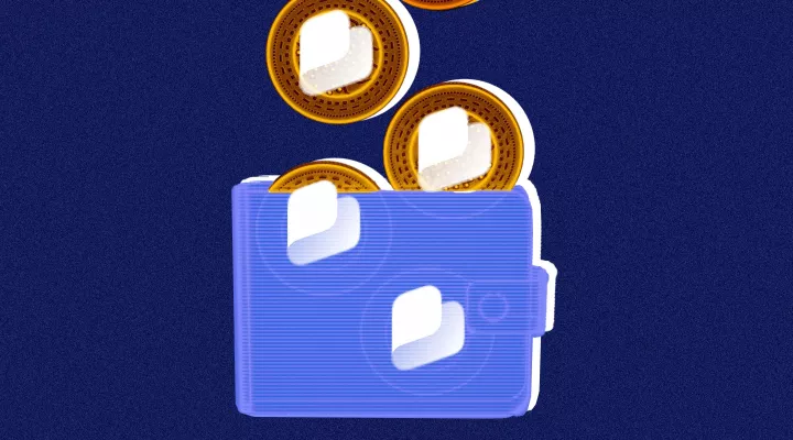 sklrlll VIP Plan - Exclusive digital wallet with premium benefits